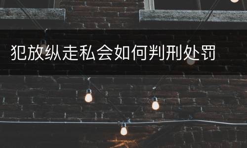 犯放纵走私会如何判刑处罚