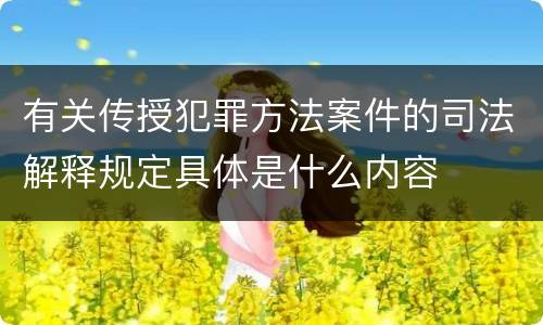 有关传授犯罪方法案件的司法解释规定具体是什么内容