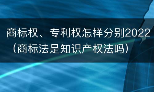 商标权、专利权怎样分别2022（商标法是知识产权法吗）