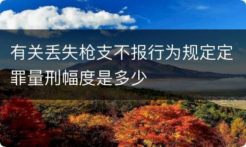 有关丢失枪支不报行为规定定罪量刑幅度是多少