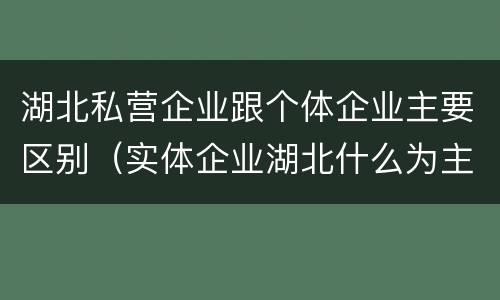 湖北私营企业跟个体企业主要区别（实体企业湖北什么为主）