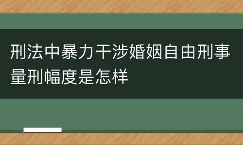 刑法中暴力干涉婚姻自由刑事量刑幅度是怎样
