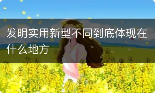 发明实用新型不同到底体现在什么地方