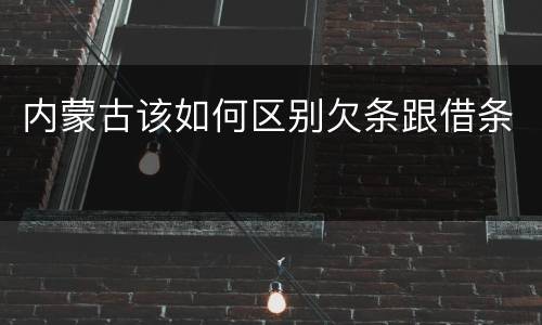 内蒙古该如何区别欠条跟借条