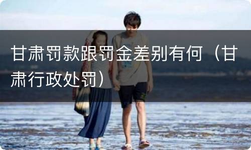 甘肃罚款跟罚金差别有何（甘肃行政处罚）