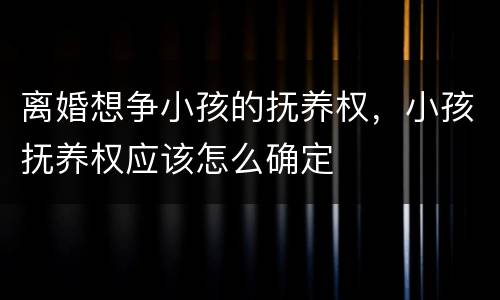 离婚想争小孩的抚养权，小孩抚养权应该怎么确定