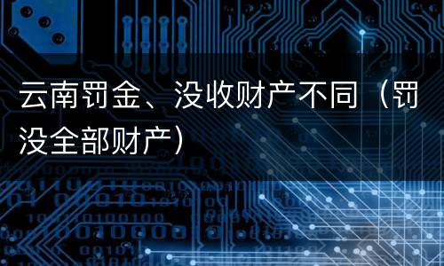云南罚金、没收财产不同（罚没全部财产）