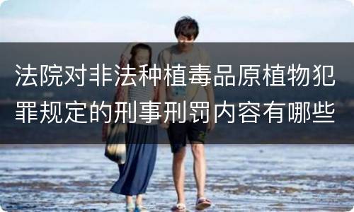 法院对非法种植毒品原植物犯罪规定的刑事刑罚内容有哪些