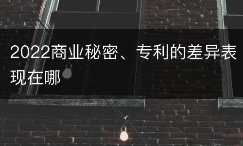 2022商业秘密、专利的差异表现在哪