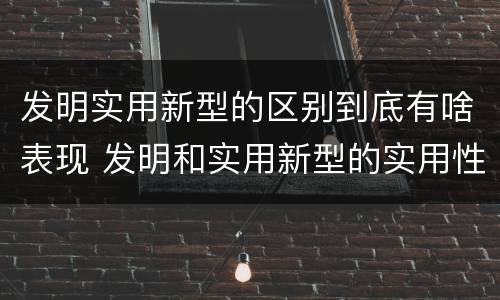 发明实用新型的区别到底有啥表现 发明和实用新型的实用性包括