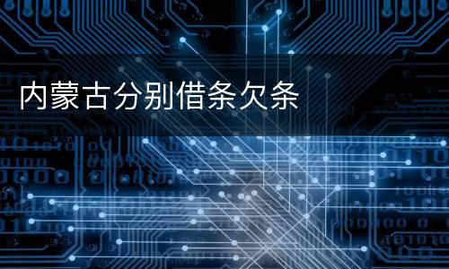 内蒙古分别借条欠条