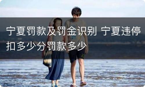 宁夏罚款及罚金识别 宁夏违停扣多少分罚款多少
