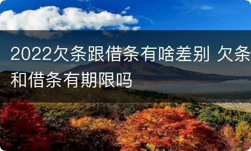 2022欠条跟借条有啥差别 欠条和借条有期限吗