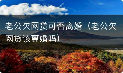 老公欠网贷可否离婚（老公欠网贷该离婚吗）