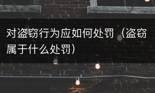 对盗窃行为应如何处罚（盗窃属于什么处罚）
