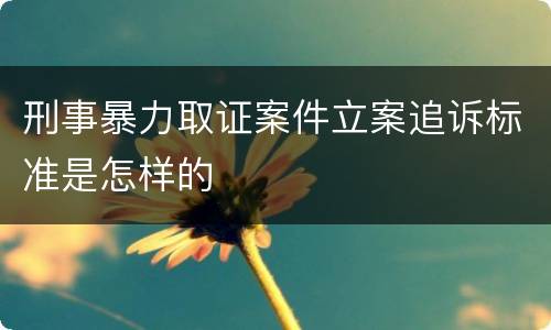 刑事暴力取证案件立案追诉标准是怎样的