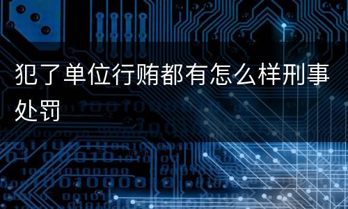 犯了单位行贿都有怎么样刑事处罚