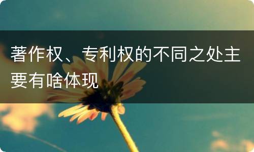 著作权、专利权的不同之处主要有啥体现