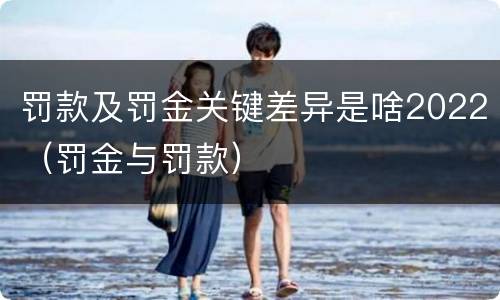 罚款及罚金关键差异是啥2022（罚金与罚款）
