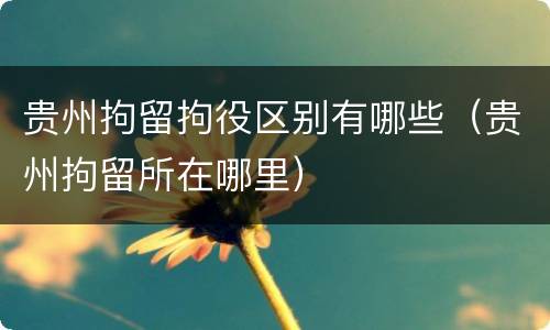 贵州拘留拘役区别有哪些（贵州拘留所在哪里）