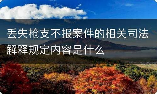 丢失枪支不报案件的相关司法解释规定内容是什么