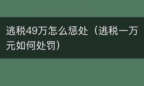 逃税49万怎么惩处（逃税一万元如何处罚）