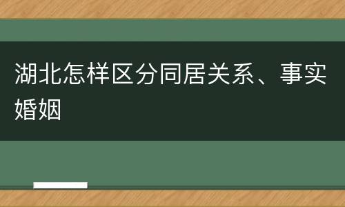 湖北怎样区分同居关系、事实婚姻