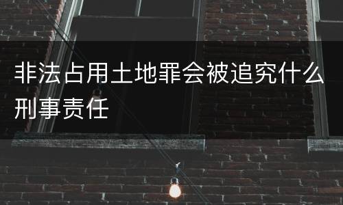 非法占用土地罪会被追究什么刑事责任