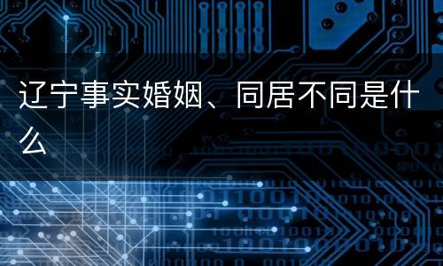 辽宁事实婚姻、同居不同是什么