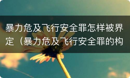 暴力危及飞行安全罪怎样被界定（暴力危及飞行安全罪的构成要件）