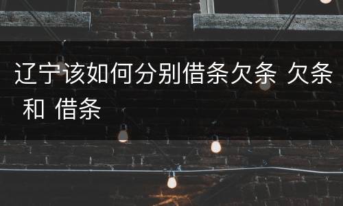 辽宁该如何分别借条欠条 欠条 和 借条