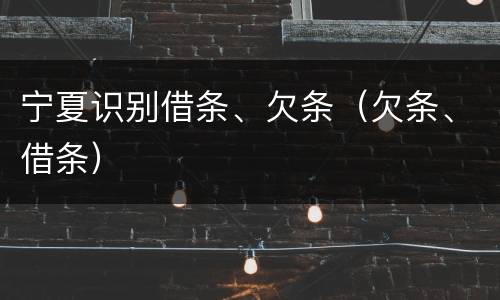 宁夏识别借条、欠条（欠条、借条）