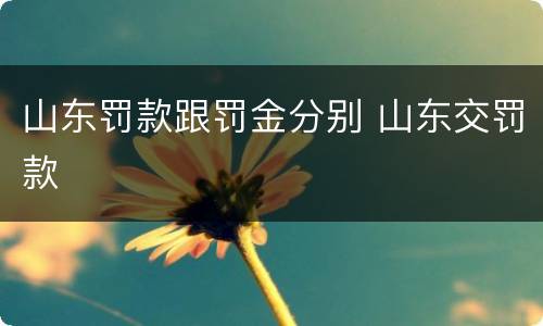 山东罚款跟罚金分别 山东交罚款