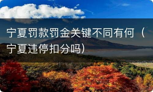宁夏罚款罚金关键不同有何（宁夏违停扣分吗）