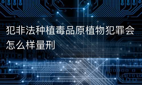 犯非法种植毒品原植物犯罪会怎么样量刑