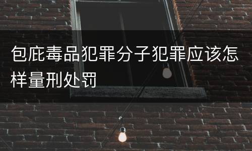 包庇毒品犯罪分子犯罪应该怎样量刑处罚
