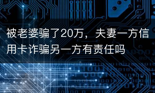 被老婆骗了20万,夫妻一方信用卡诈骗另一方有责任吗