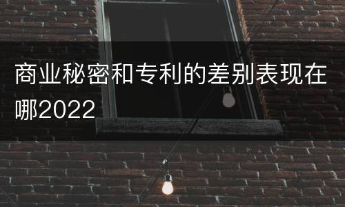 商业秘密和专利的差别表现在哪2022