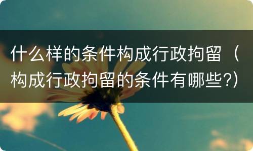 什么样的条件构成行政拘留（构成行政拘留的条件有哪些?）