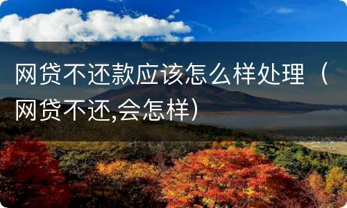 网贷不还款应该怎么样处理（网贷不还,会怎样）