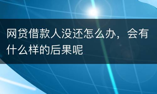 网贷借款人没还怎么办，会有什么样的后果呢