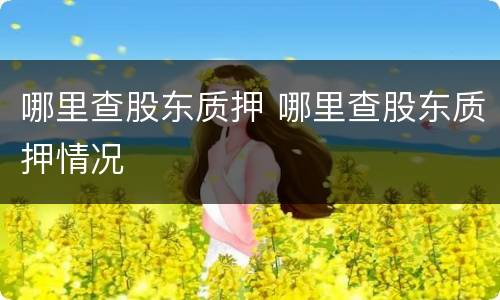 哪里查股东质押 哪里查股东质押情况