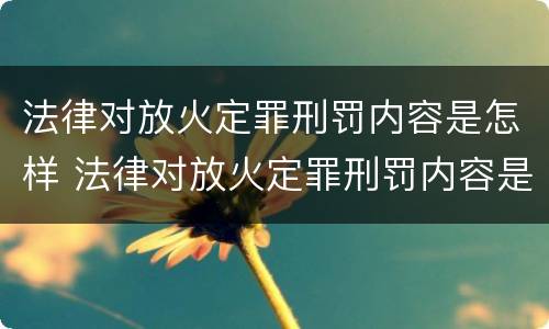 法律对放火定罪刑罚内容是怎样 法律对放火定罪刑罚内容是怎样定罪的