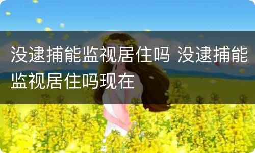 没逮捕能监视居住吗 没逮捕能监视居住吗现在