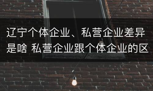 辽宁个体企业、私营企业差异是啥 私营企业跟个体企业的区别