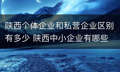 陕西个体企业和私营企业区别有多少 陕西中小企业有哪些