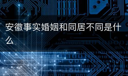 安徽事实婚姻和同居不同是什么