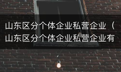 山东区分个体企业私营企业（山东区分个体企业私营企业有哪些）