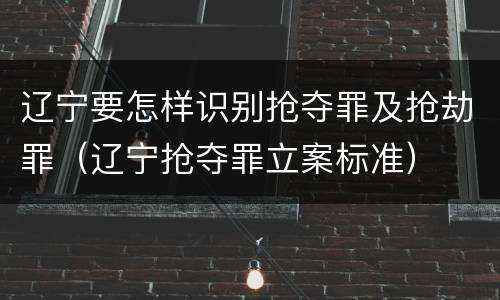 辽宁要怎样识别抢夺罪及抢劫罪（辽宁抢夺罪立案标准）