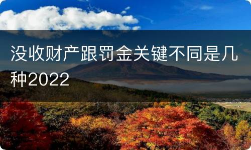 没收财产跟罚金关键不同是几种2022